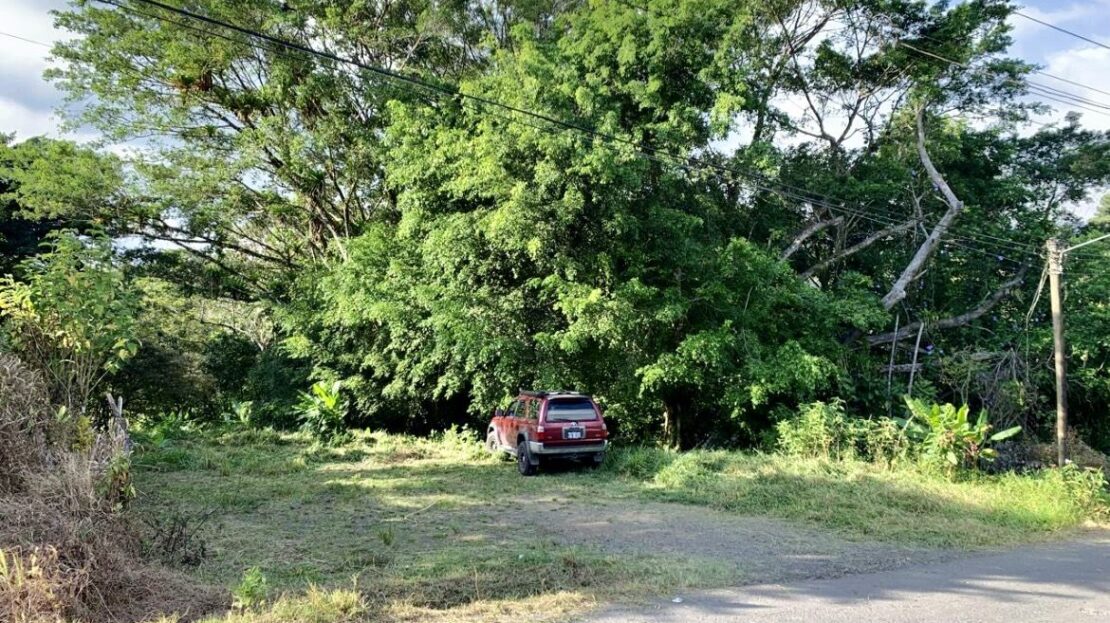 Costa Rica Real Estate