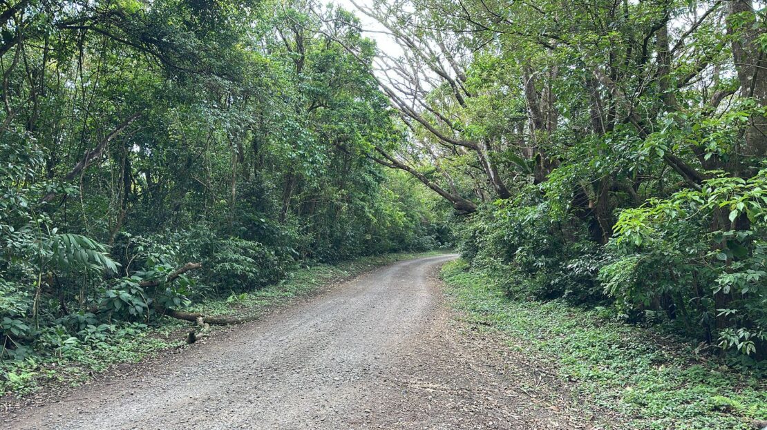 Costa Rica Real Estate