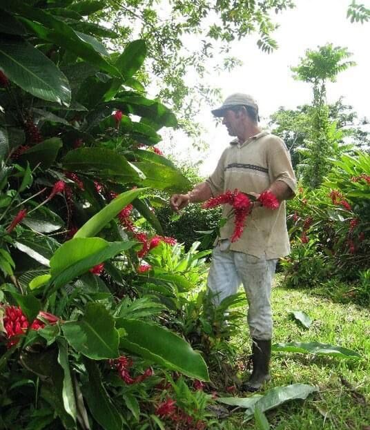 Costa Rica Real Estate