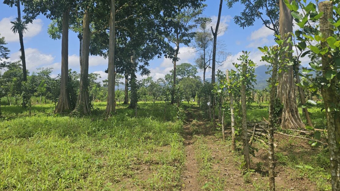 Prime Development Lot with Arenal Volcano Views – 14