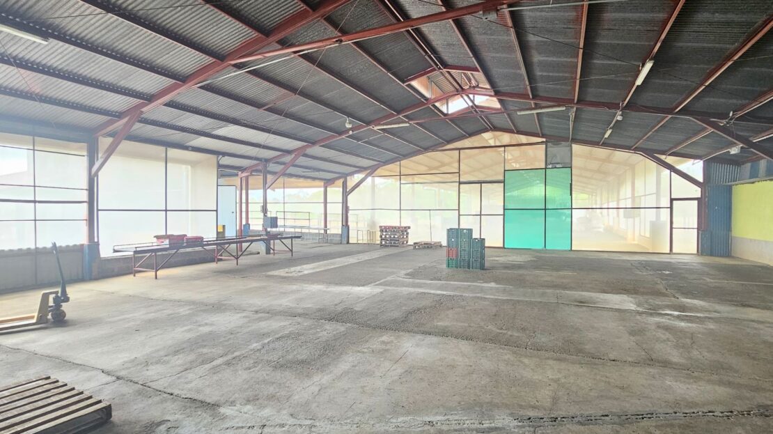 Costa Rica Real Estate