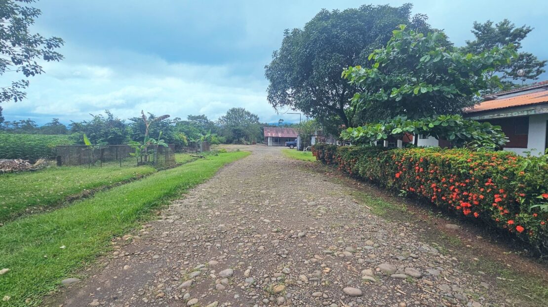 Price Drop!!! Versatile Agricultural Estate with Packing Facility & Development Potential – Zona Fluca