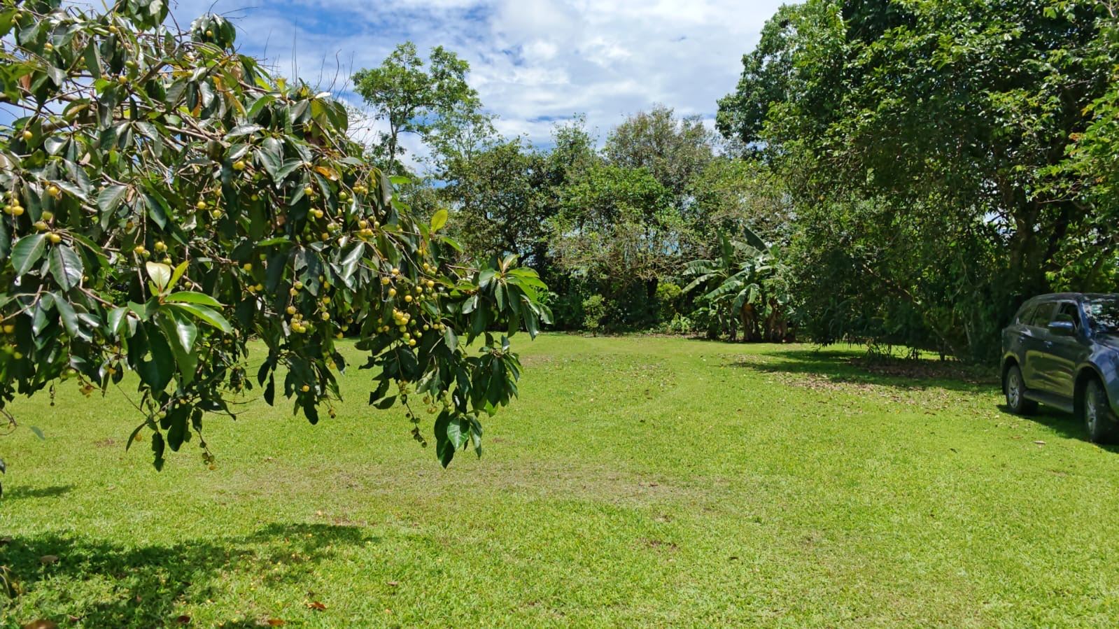 Investment Property in La Fortuna – Pay for the Land Only – House Included – Volcano View, La fortuna, Costa Rica — photo 2