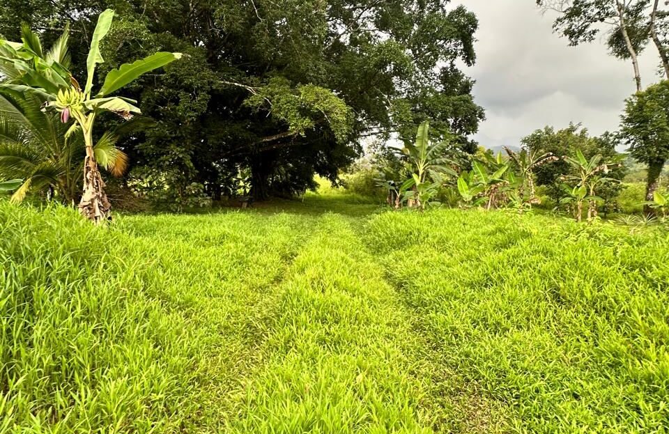 Costa Rica Real Estate