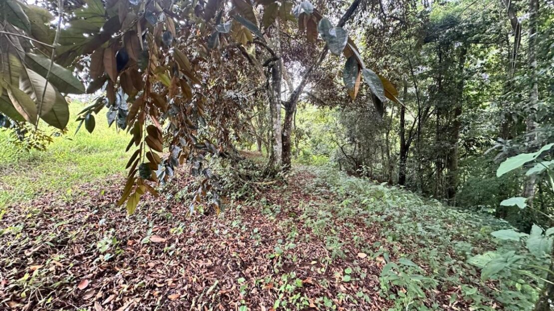 000m² Farm Near La Fortuna – Stunning Arenal Volcano Views!