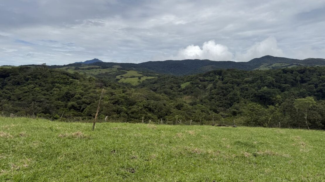 Costa Rica Real Estate