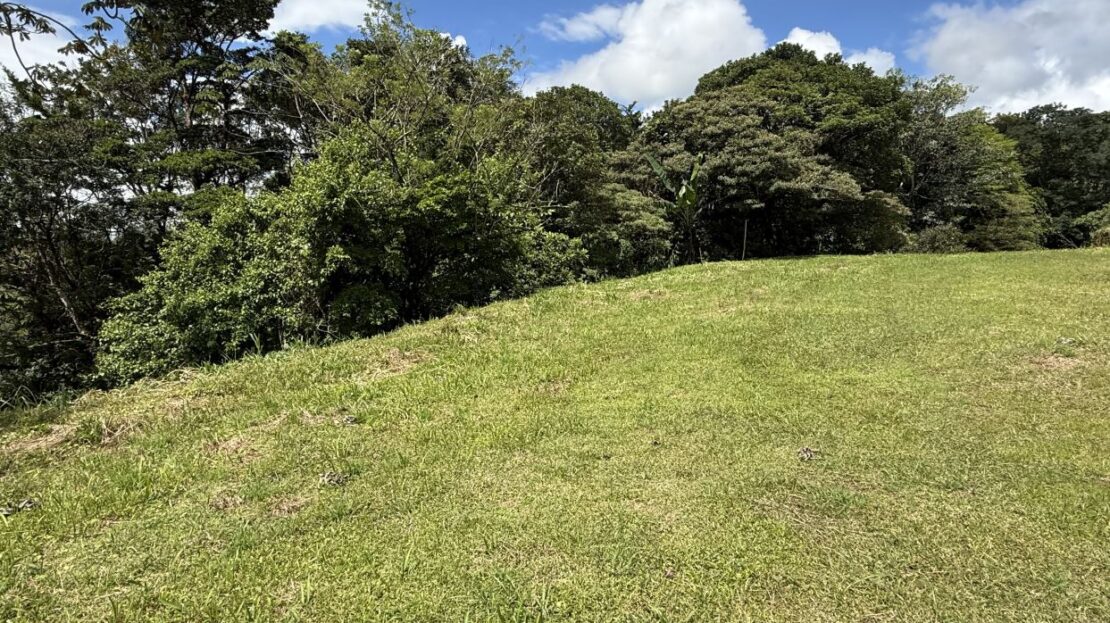 Exclusive Arenal Lakeview property with High end development potential