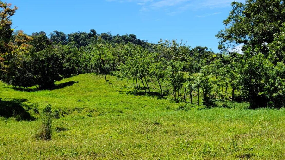 Lake and Volcano view Lot with Views of Arenal Lake and Arenal Volcano in La Fortuna Costa Rica for Sale