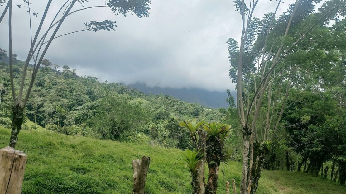 Costa Rica Real Estate