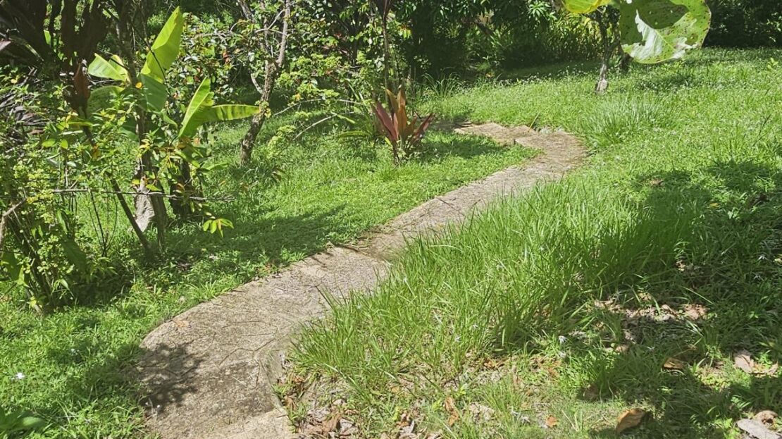 Pool & Productive Orchard