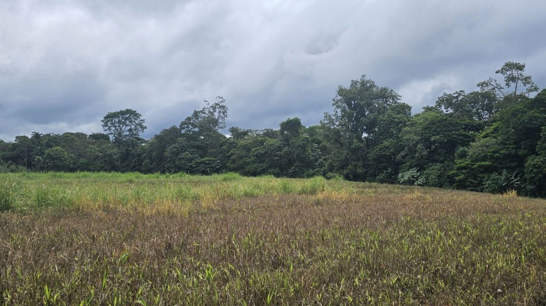 Costa Rica Real Estate