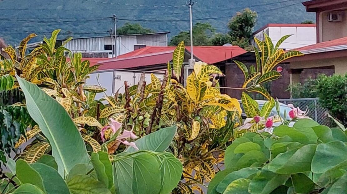 Multi Family Air BnB Turnkey Investment Property La Fortuna WALK to ALL