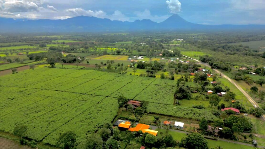 San Carlos -  La Fortuna