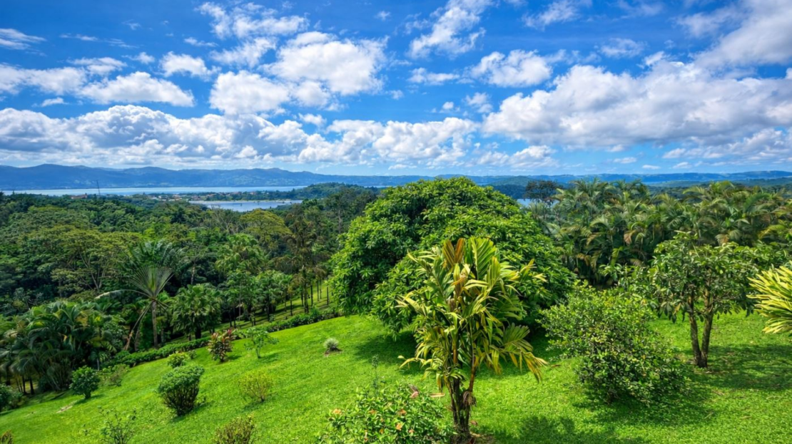 Costa Rica Real Estate