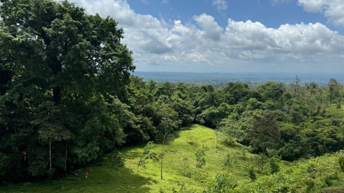 San Carlos -  La Fortuna