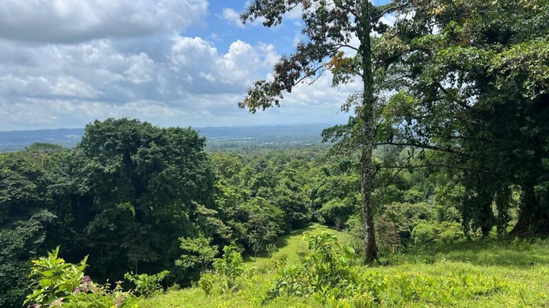Exceptional Lot in La Fortuna – Steps from La Fortuna Waterfall with Volcano Views