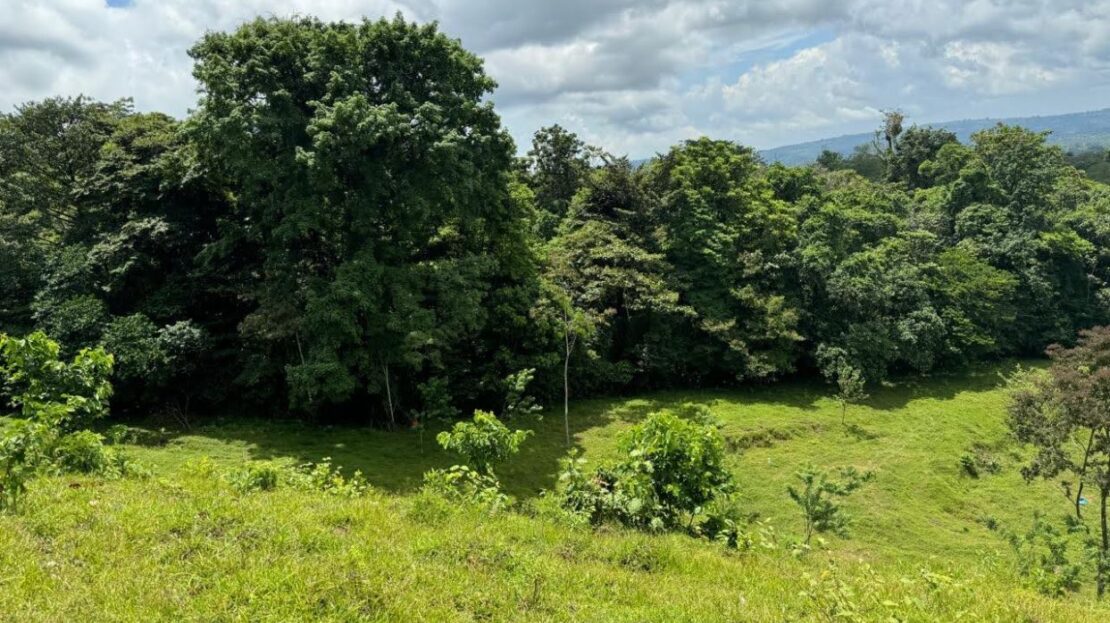 Costa Rica Real Estate