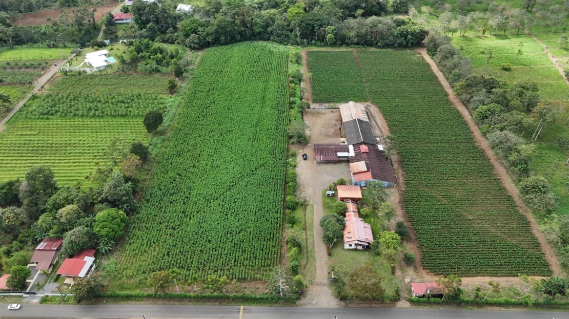 San Carlos -  La Fortuna