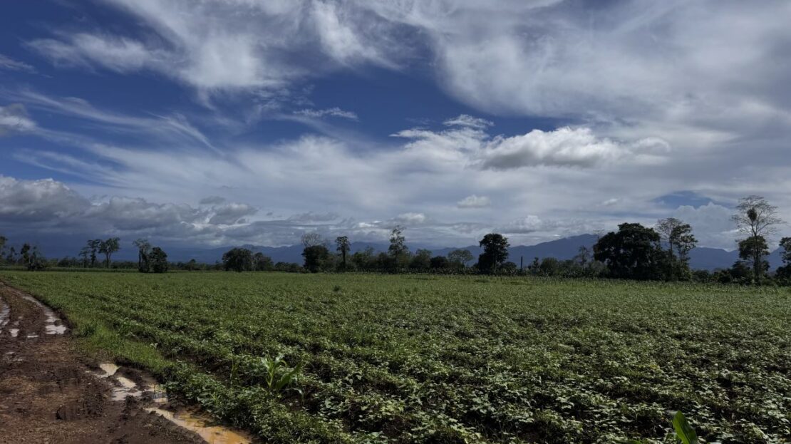 Arenal Volcano view 34 acres investment property