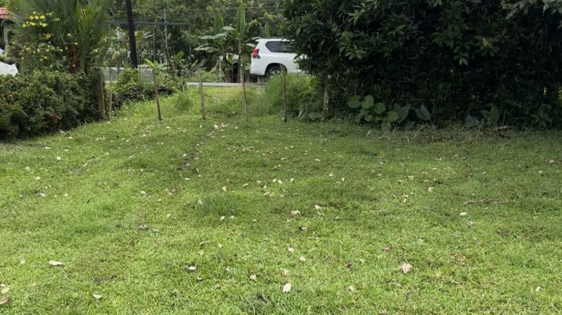 Costa Rica Real Estate