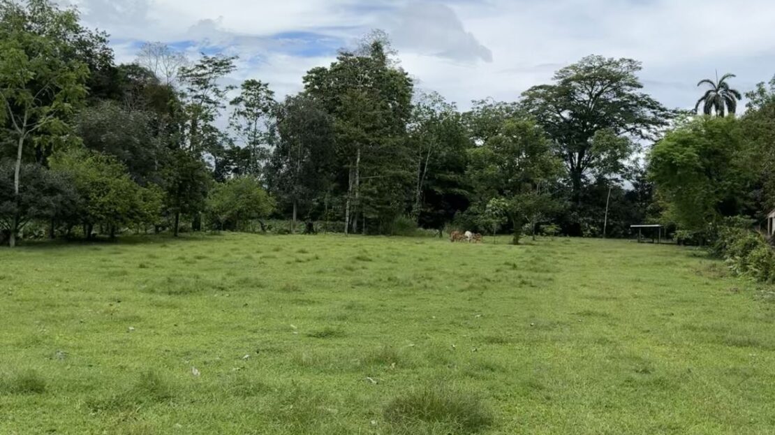 San Carlos -  La Fortuna