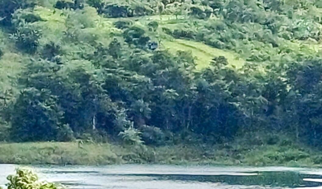 Peaceful Lake View Lot in San Luis