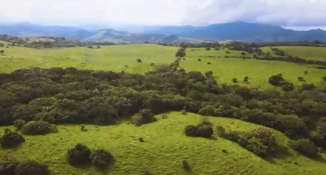 78 Hectares in Tilaran Guanacaste - Renewable Energy & Carbon Credit Potential with Agricultural and Ecotourism Upside