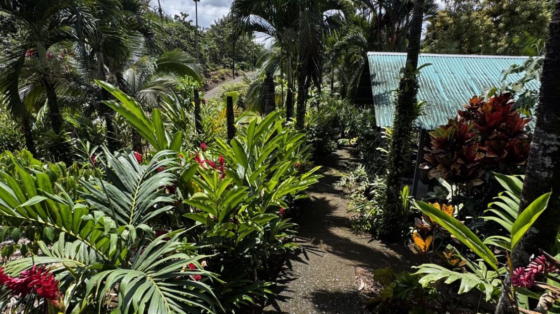 Property with Restaurant and Cabins for Sale near La Fortuna Costa Rica