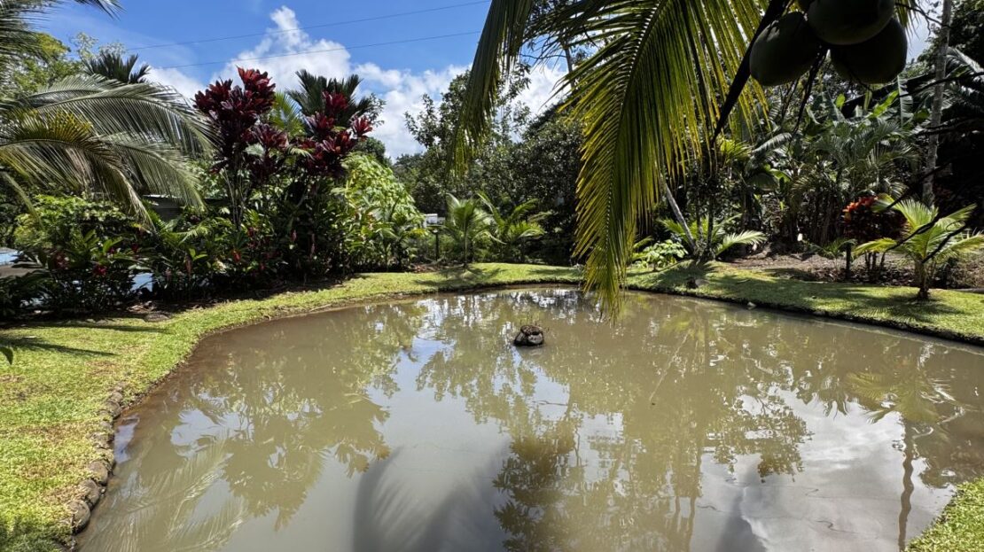 San Carlos - La Tigra