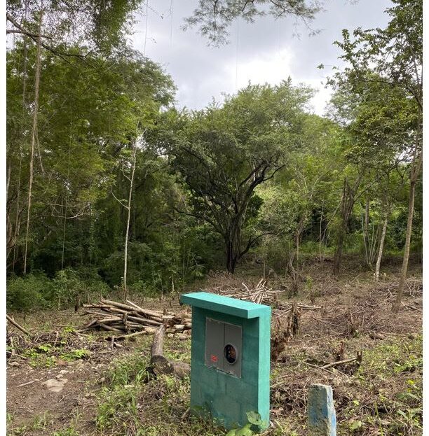 Prime Beachside Land for Sale – Playa Órganos