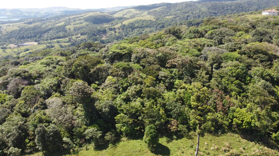 Costa Rica Real Estate