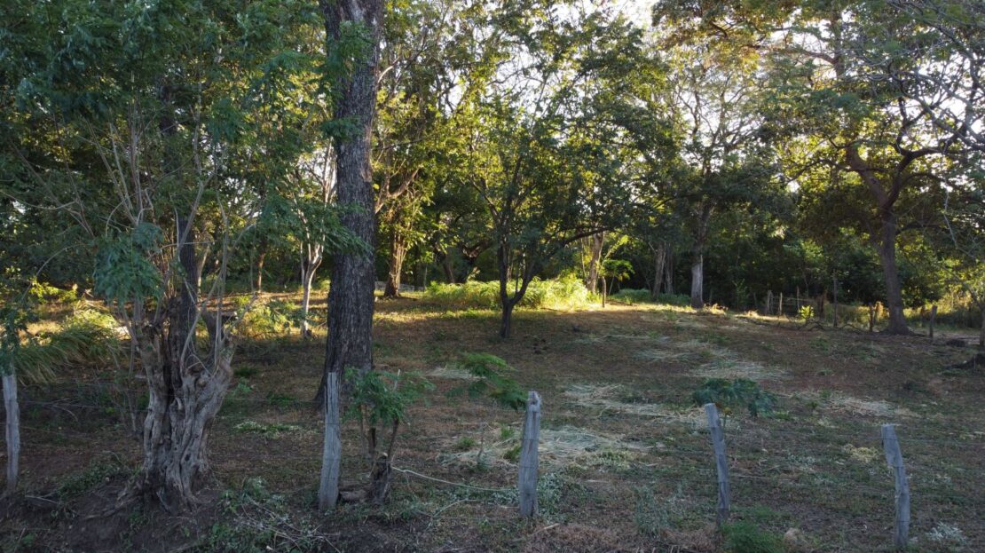 Lot for Sale in Sandillal de Cañas