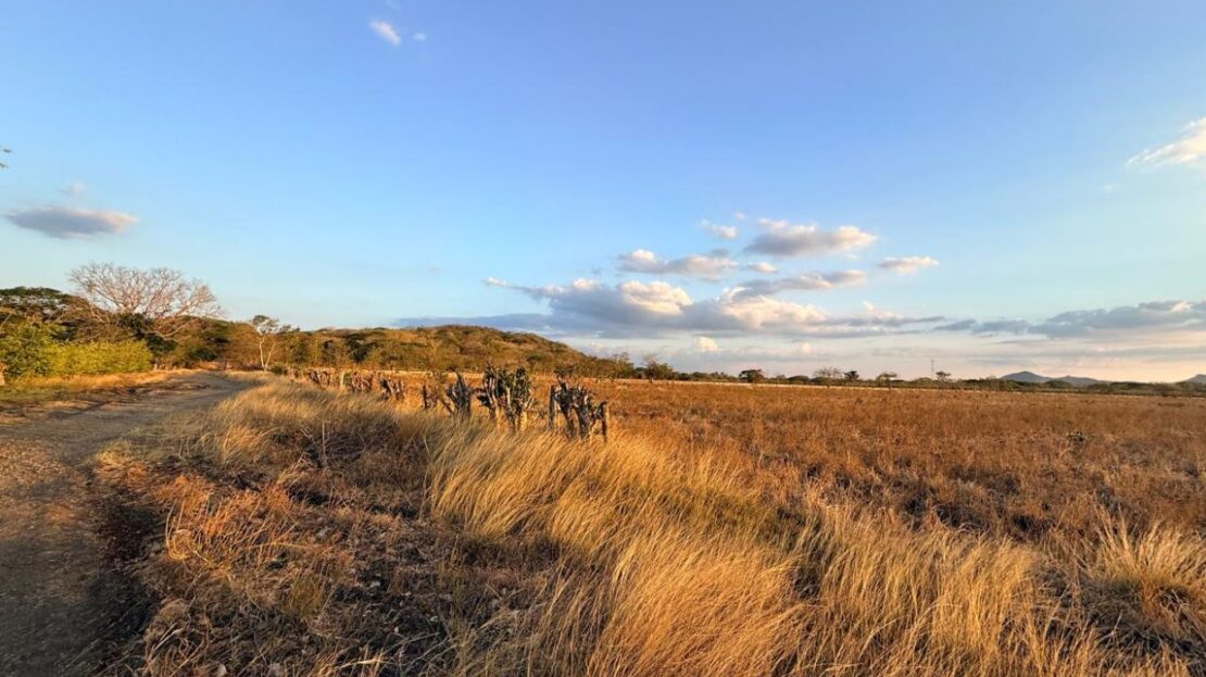 Agricultural Land for Sale in Abangares