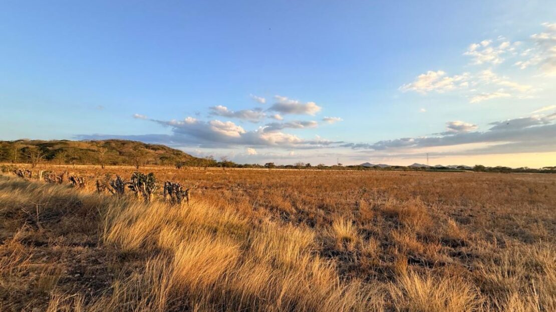 Guanacaste – 8 Hectares