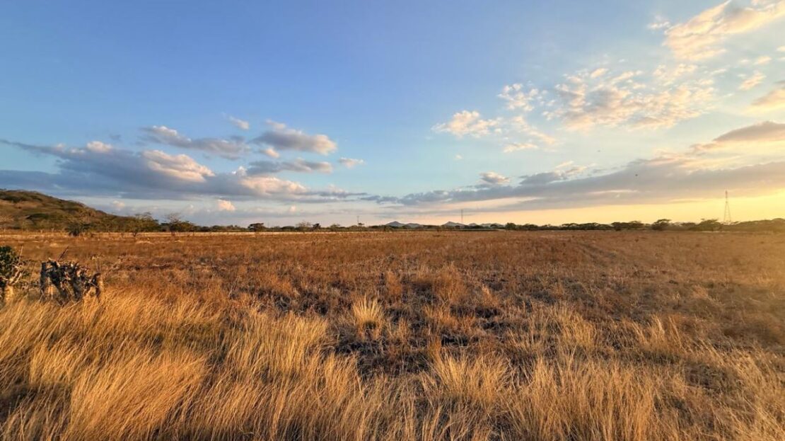 Costa Rica Real Estate