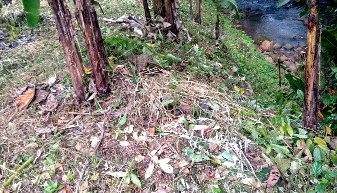 Costa Rica Real Estate