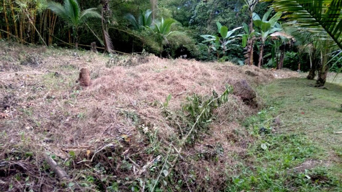 000 m² Usage Rights