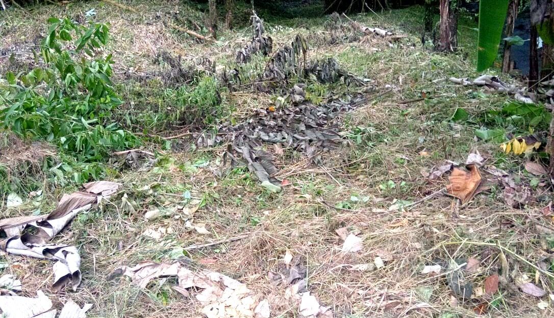 918 m² + Additional 2