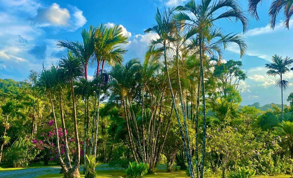 Beautiful and Exceptionally Private Lake Arenal Home with Lake & Volcano Views