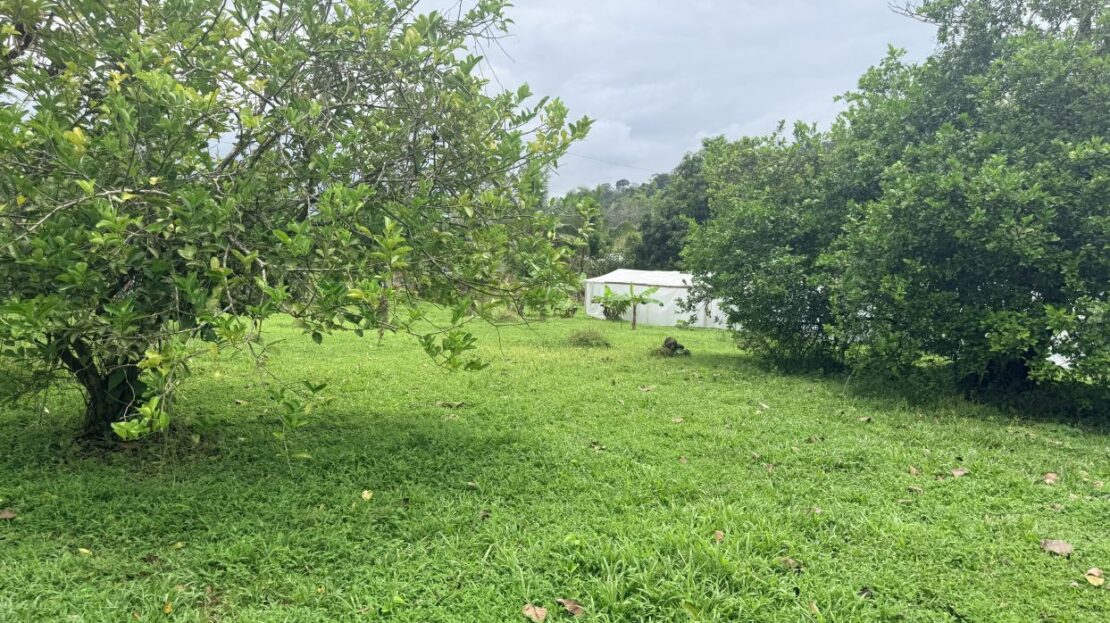 Costa Rica Real Estate