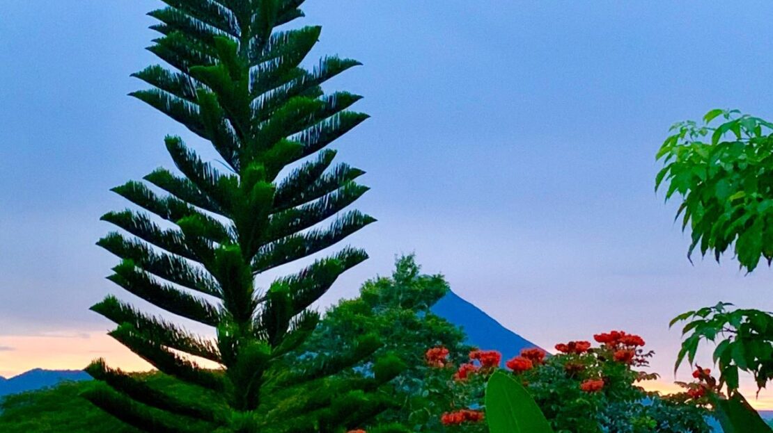 Property with Arenal Volcano View