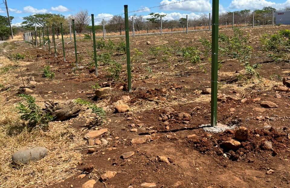 Lot for Sale in front of Private School