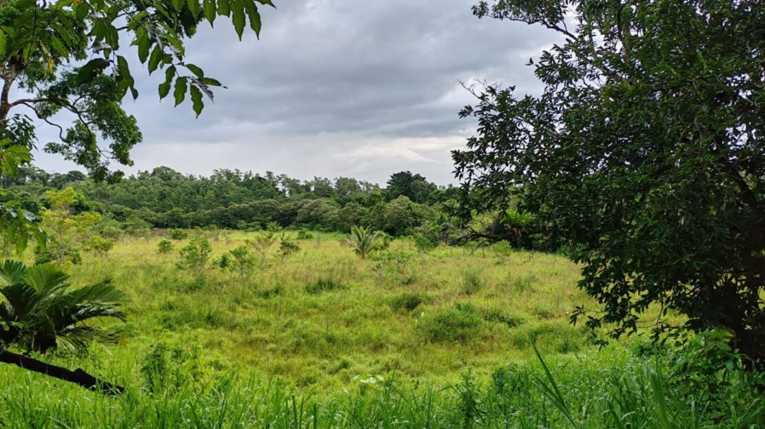 PROPERTY FOR SALE – BIJAGUA