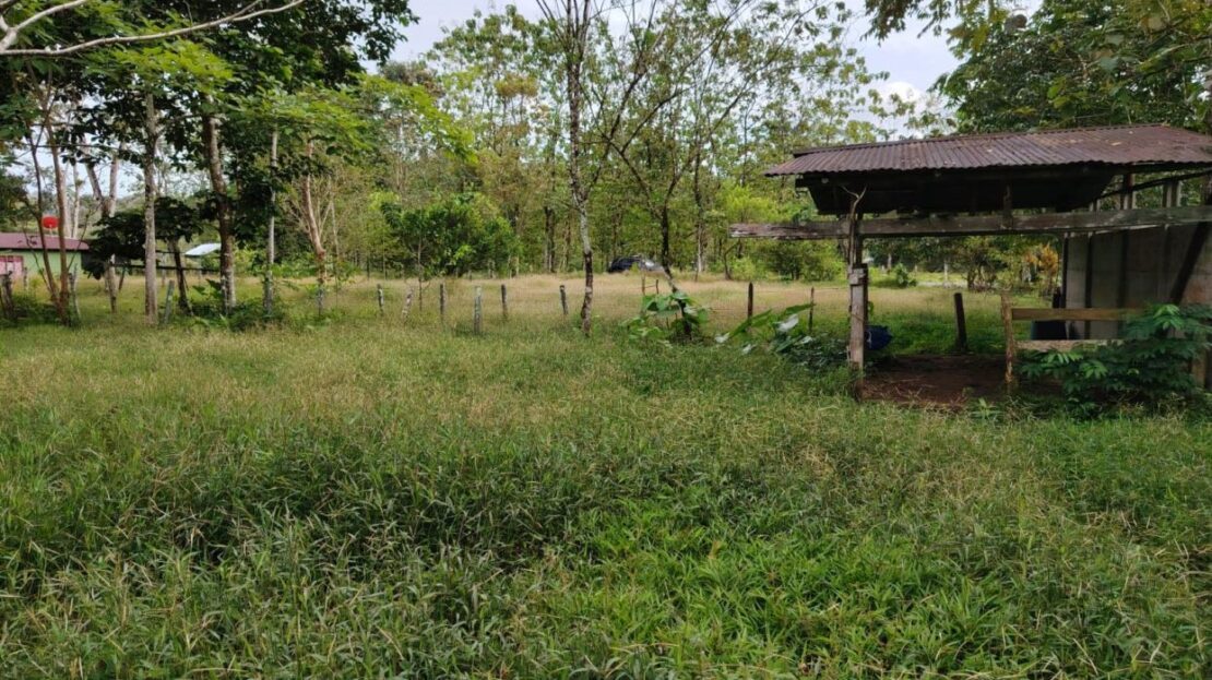 Contry Farm in Guanacaste – Bijagua