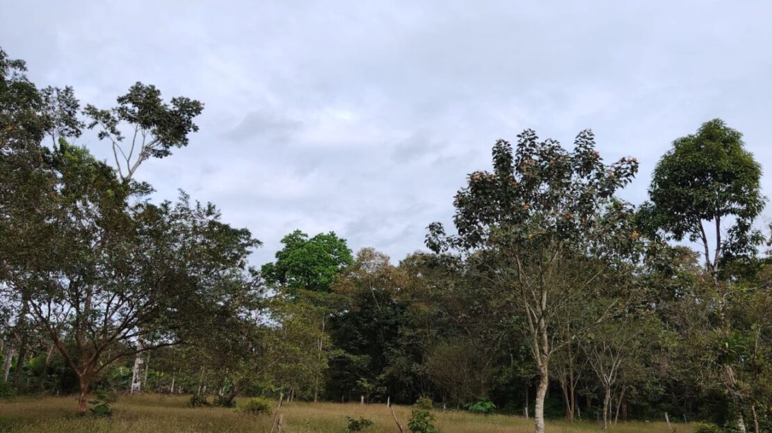 Costa Rica Real Estate