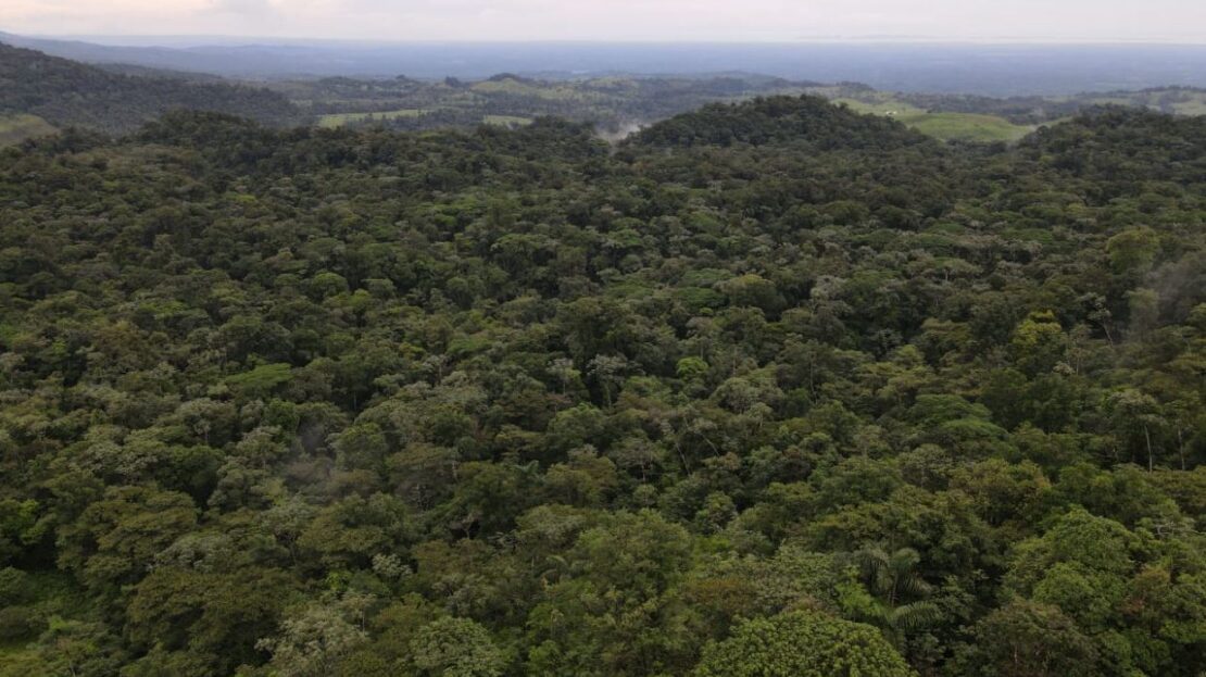 TOURISM FARM FOR SALE – RÍO CELESTE