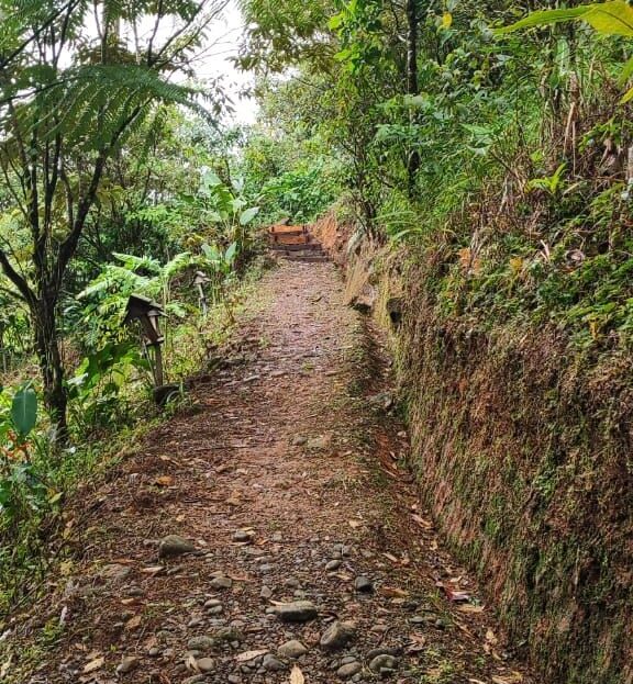 Costa Rica Real Estate