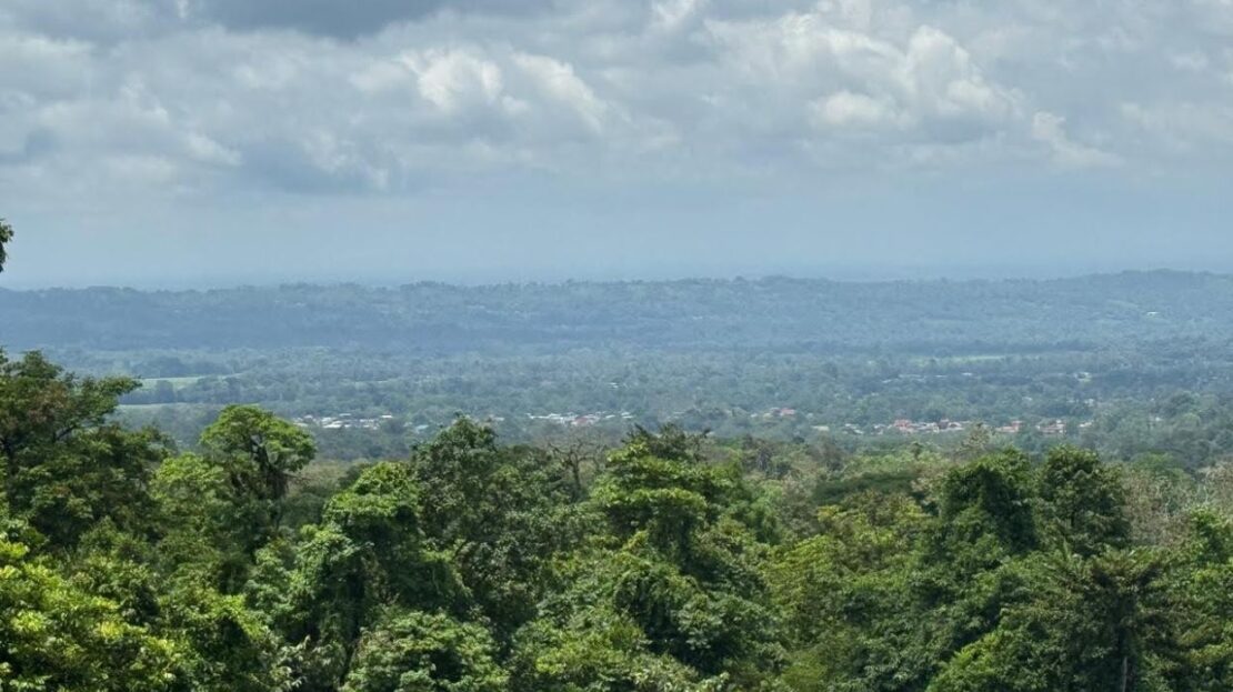 San Carlos