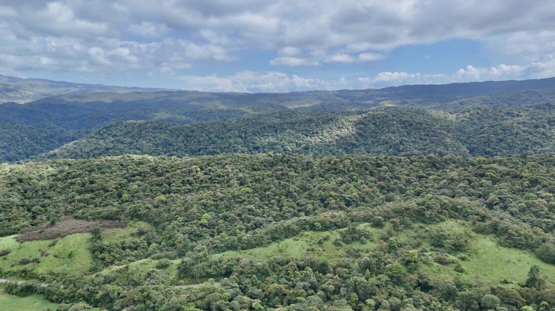 Conservation and Wellness Development