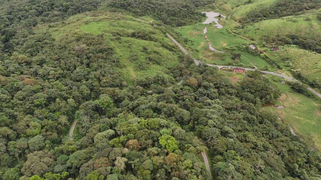 757 Hectares of Cloud Forest for Sale in Costa Rica – Ideal for Carbon Credits